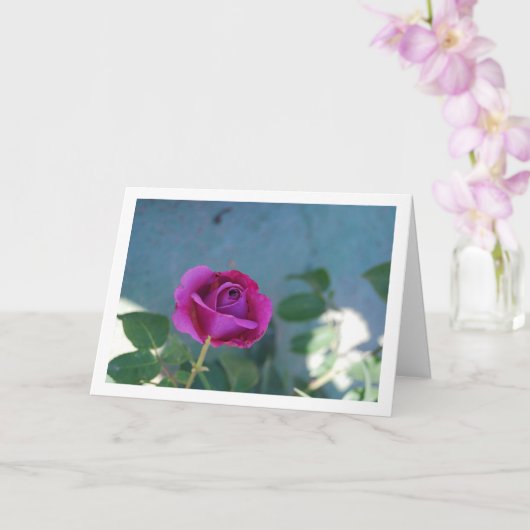 Carte Rose florale violette de jardin (Orchidée)