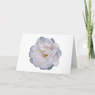 Carte Rose gris rose