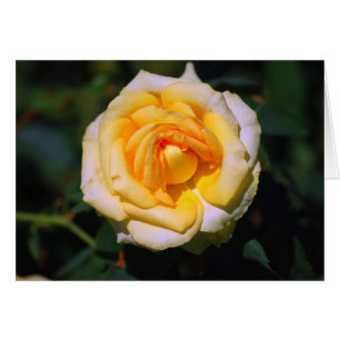 Carte Rose jaune