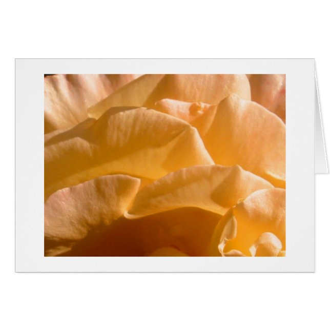 Carte Rose jaune (Devant horizontal)
