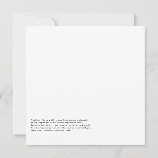 Carte Rose jaune, 2004 Photo. (Dos)