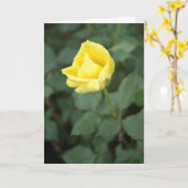 Carte Rose jaune de floraison (Fleur jaune)