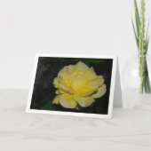 Carte Rose jaune de la nuit Portrait (Devant)