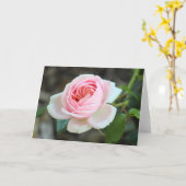 Carte Rose "Joie de Vivre", Roath Park, Cardiff (Fleur jaune)