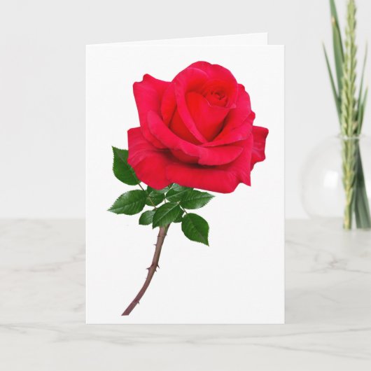 Carte Rose Love You Greeting (Devant)