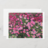 Carte Rose marguerite (Devant / Derrière)