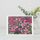 Carte Rose marguerite (Debout devant)