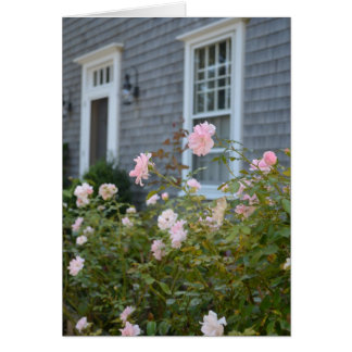 Carte Rose Nantucket