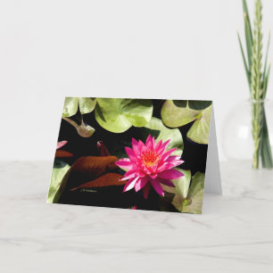 Carte Rose nénuphar I