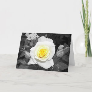 Carte Rose noir et blanc avec focal jaune