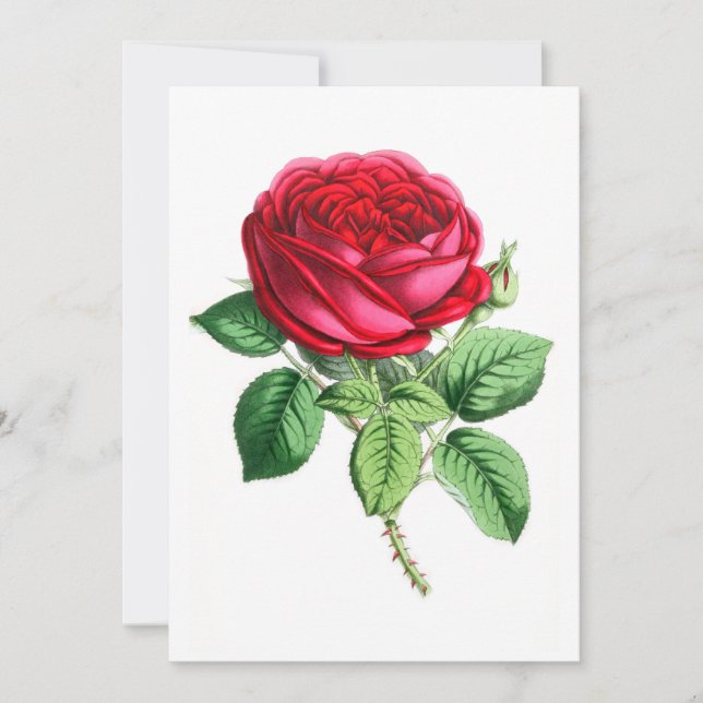 Carte Rose permanent hybride - Napoléon III (Devant)