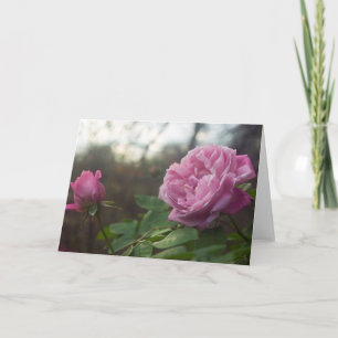 Carte Rose Photo Standard, 5" x 7" Folded Greeting Card