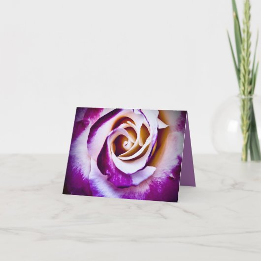 Carte Rose Pourpre (Devant)