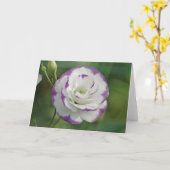 Carte rose pourpre et blanc (Fleur jaune)