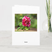Carte "Rose rayé rose foncé et blanc, Joyeux anniversair (Dos)