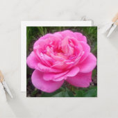 Carte Rose romantique 'Léonard de Vinci' (Devant/Arrière en situation)