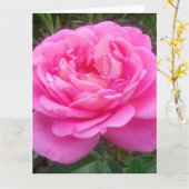 Carte Rose romantique 'Léonard de Vinci' (Fleur jaune)