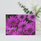Carte Rose rose (Debout devant)