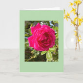 Carte Rose rose et une mouche (Fleur jaune)
