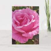 Carte Rose Rose Fleur Rose (Dos)