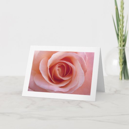 Carte Rose rose rose (Devant)