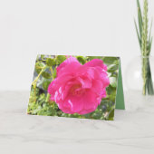 Carte Rose rose rose (Devant)