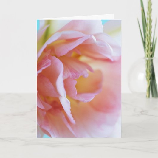 Carte Rose rose rose (Devant)