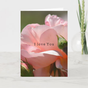 Carte Rose rose tendre Amour (photographie par moi)