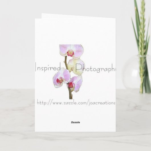 Carte Rose Rouge (Dos)