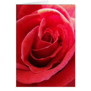 Carte Rose rouge