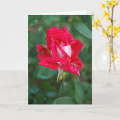 Carte Rose rouge (Fleur jaune)