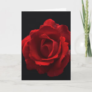 Carte Rose rouge