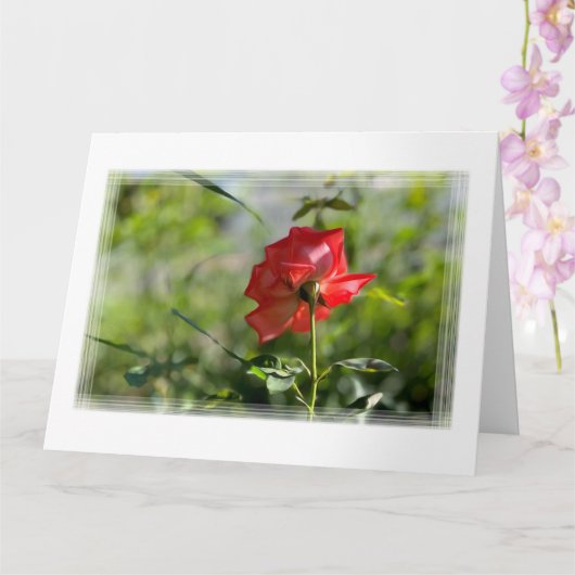 Carte Rose rouge (Orchidée)