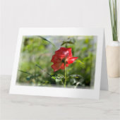 Carte Rose rouge (Devant)