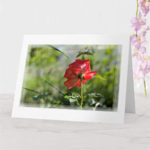 Carte Rose rouge
