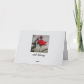 Carte Rose rouge amour fleurit Anniversaire romantique (Dos)