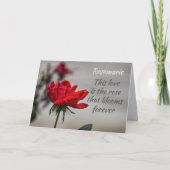 Carte Rose rouge amour fleurit Anniversaire romantique (Devant)