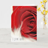 Carte Rose Rouge Anniversaire À La Fourrure (Fleur jaune)