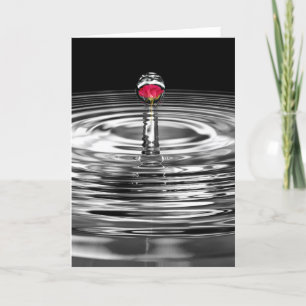 Carte rose rouge anniversaire de la goutte d'eau