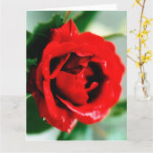 Carte Rose rouge avec gouttes de rosée  (Fleur jaune)