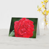 Carte Rose rouge avec rosée du matin (Fleur jaune)