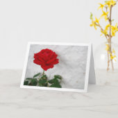 Carte Rose rouge sur fond de mur blanc (Fleur jaune)