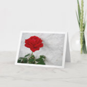 Carte Rose rouge sur fond de mur blanc (Devant)
