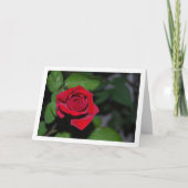 Carte Rose rouge unique et feuilles vertes (Devant)