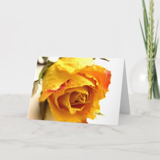 Carte Rose Simple (Devant)