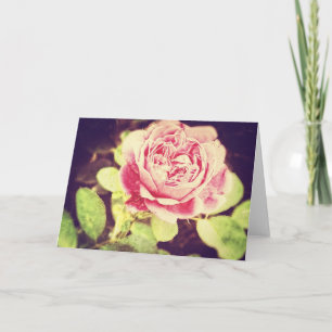 Carte rose vintage