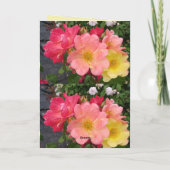 Carte Rose Vintage Fleur de rose jaune rouge (Dos)