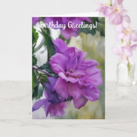 Rose violet de Sharon Flower Art