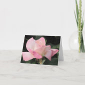 Carte Rose volant de rose (Devant)