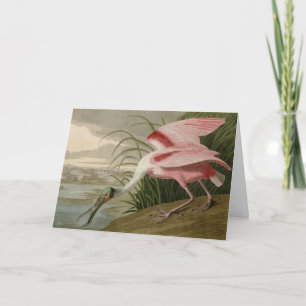 Carte Roseate Spoonbill from Audubon's Birds of America